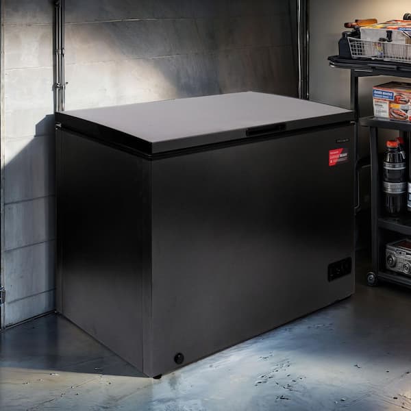Frigidaire 10 cu. ft. Freezer with Manual Defrost Chest