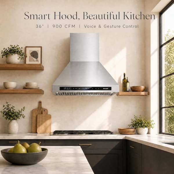 36 in. 900CFM Convertible Wall Mounted Range Hood in Stainless Steel with Carbon Filter and LED Lights
