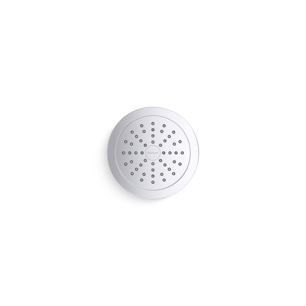 Polished Chrome Single-Function Filtered Wall Mounted Showerhead