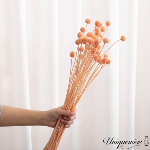 Uniquewise 40-Pieces Natural Dried Billy Ball Craspedia Flowers