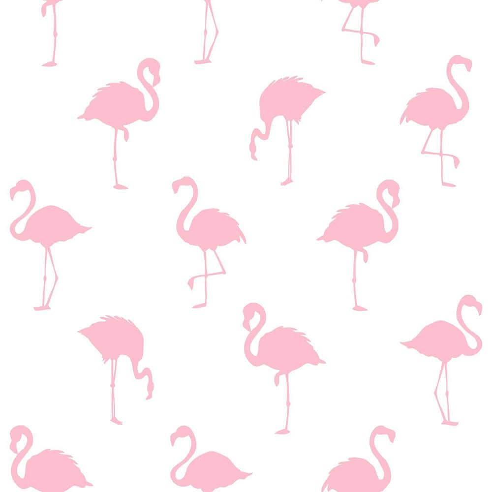 Sweet Preppy Flamingos Vinyl Sweet Preppy Flamingos Vinyl