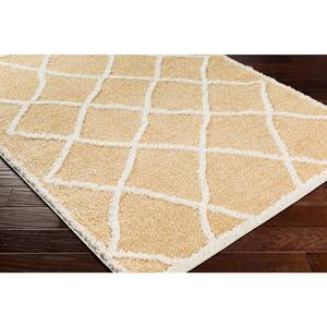 Kinsley Apricot Morrocan 5 ft. x 7 ft. Indoor Area Rug