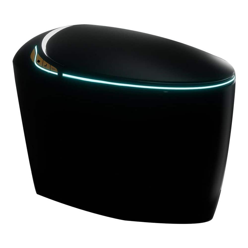 Elongated Round Egg Shaped Bidet Toilet 1.28GPF in Black with Auto Flush Auto Open and Heated Seat Warm Water and Dryer price history on PriceWatchPro