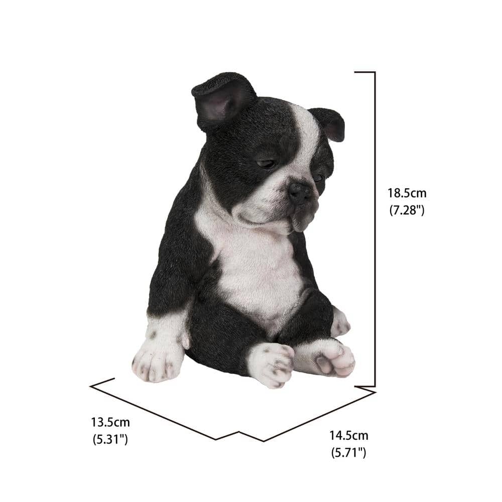 Sleepy Black and White Boston Terrier Puppy Polyresin Statue