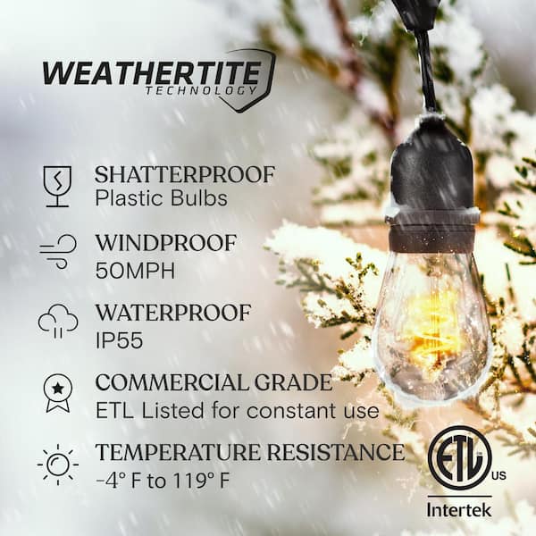 Northlight 396-ft 100-Light Clear Glass-Shade Plug-In Bulbs LED String Lights Northlight 396-ft 100-Light Clear Glass-Shade Plug-In Bulbs LED String Lights