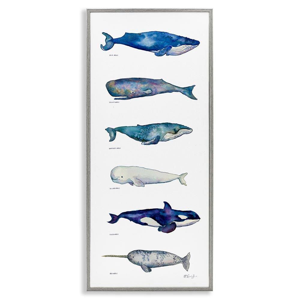 Maritime Sea Life Chart by MB Cunningham Gray Framed Giclee Art Print Animal 10 in. x 24 in. price history on PriceWatchPro