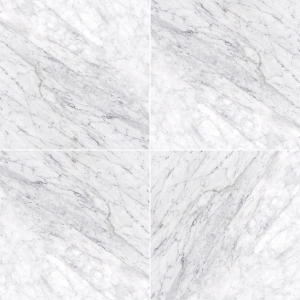 MSI Carrara White 18 in. x 18 in. Honed Marble Stone Look Floor and Wall Tile (13.5 sq. ft./Case)