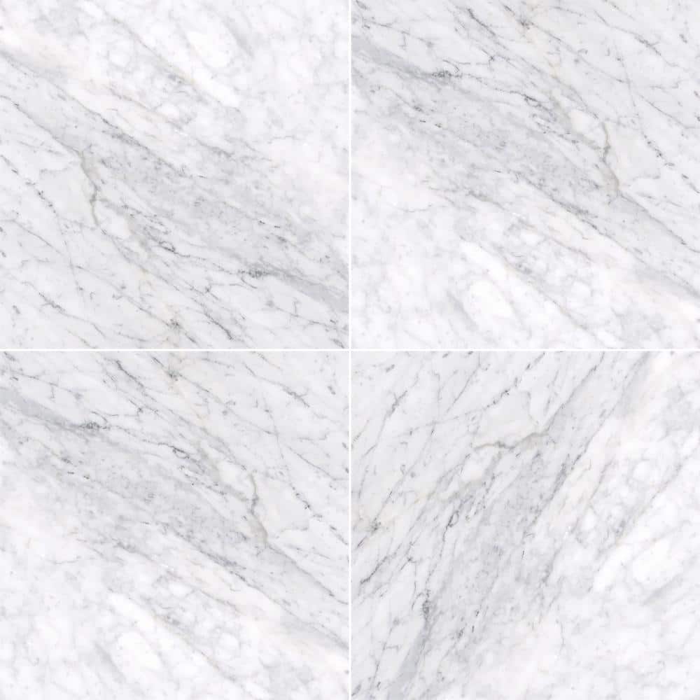 Carrara White 18 in. x 18 in. Honed Marble Floor and Wall Tile (13.5 sq. ft./Case) price history on PriceWatchPro