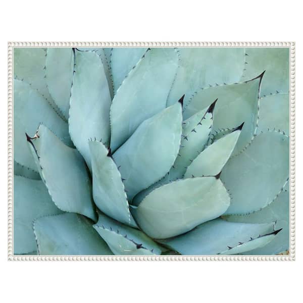 Amanti Art Agave Detail IV by Brittany Evans 1 Piece Floater Frame Canvas Giclee Nature Art Print 23 in. x 30 in.