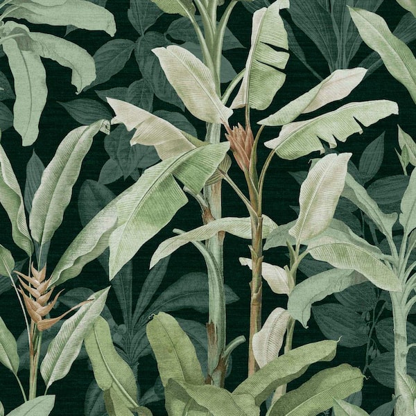 Borneo Emerald Green Wallpaper