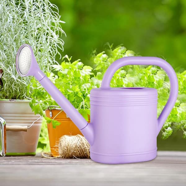 1 gal. Purple Plastic Watering Can L0FXX1BV9Y - The Home Depot
