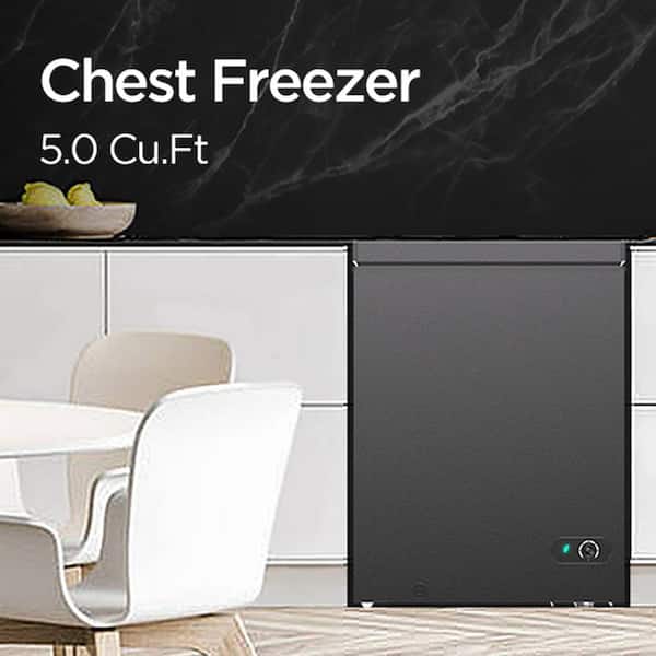 JEREMY CASS 22 in. W 5.0 cu. ft. Manual Defrost Chest