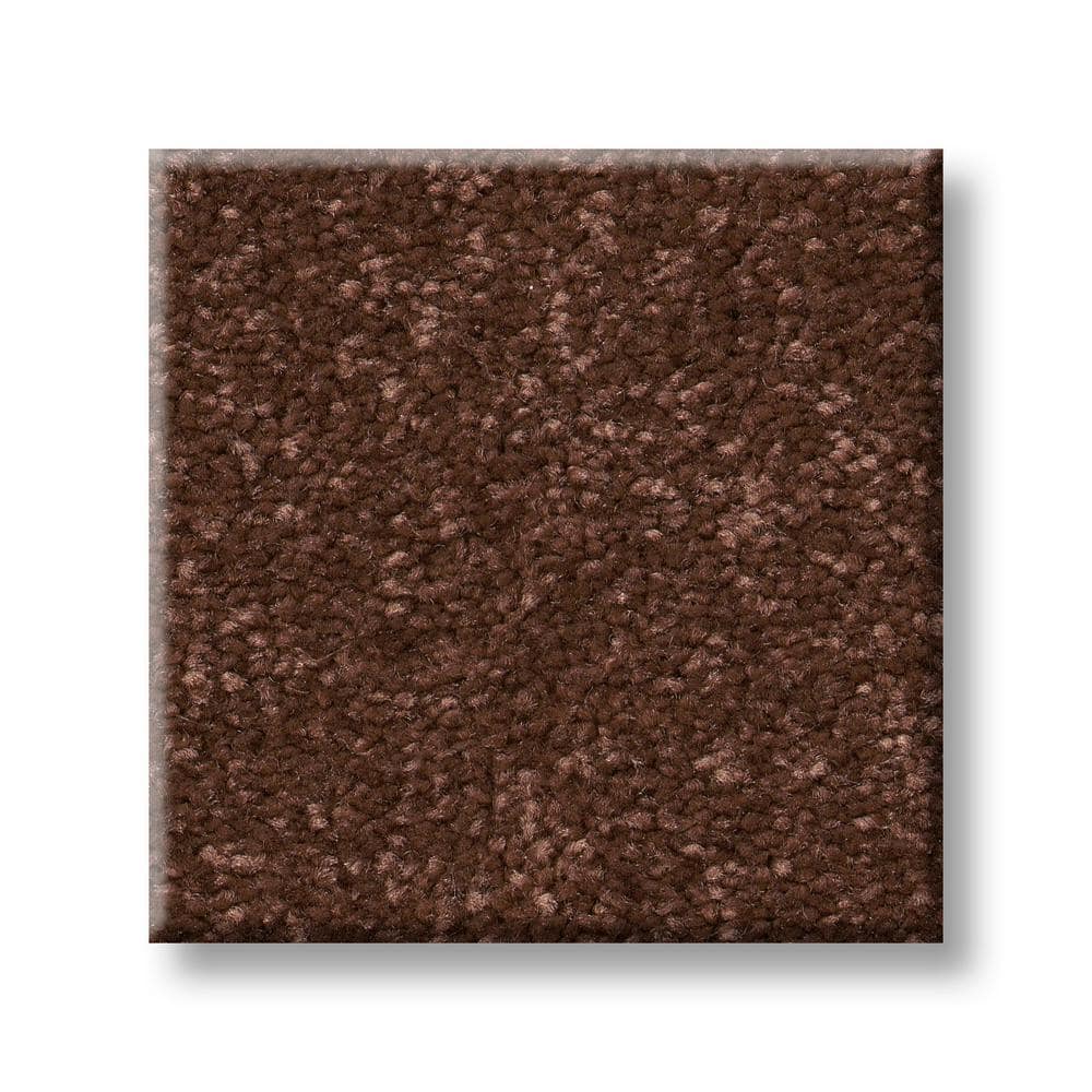 8 in. x 8 in. Texture Carpet Sample - Blakely III -Color Wicker price history on PriceWatchPro