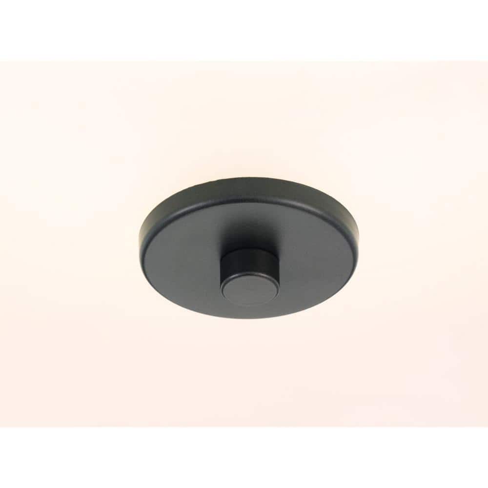 Graphite and White 16" Flush Mount Ceiling Light with Etched Glass