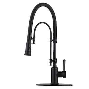 Stand Single Handle Pull Out Sprayer Kitchen Faucet Deck Plate Included in Brass