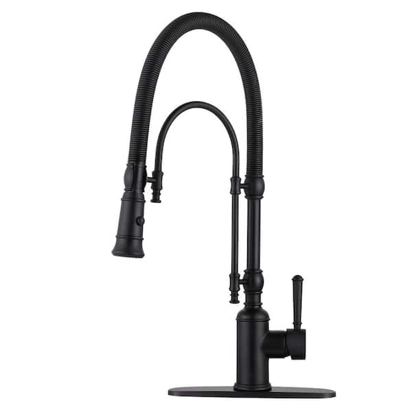 Arcora Stand Single Handle Pull Out Sprayer Kitchen Faucet Deck Plate Included In Brass 9839