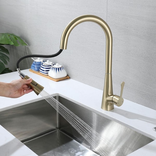 Staykiwi Single Handle Pull Down Sprayer Kitchen Faucet with Advanced Spray, Pull Out Spray Wand in Golden Brushed