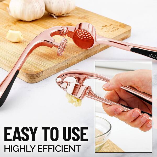 Garlic Press, Handheld Zinc Alloy Garlic Mincer, Portable Kitchen Tool For  Home Use