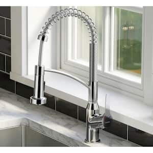 Scottsdale Single Handle Pull Down Sprayer Kitchen Faucet with Matching Soap Dispenser in Chrome