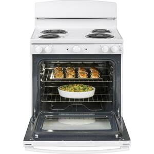 30 in. 5.0 cu. ft. Electric Range Oven in White