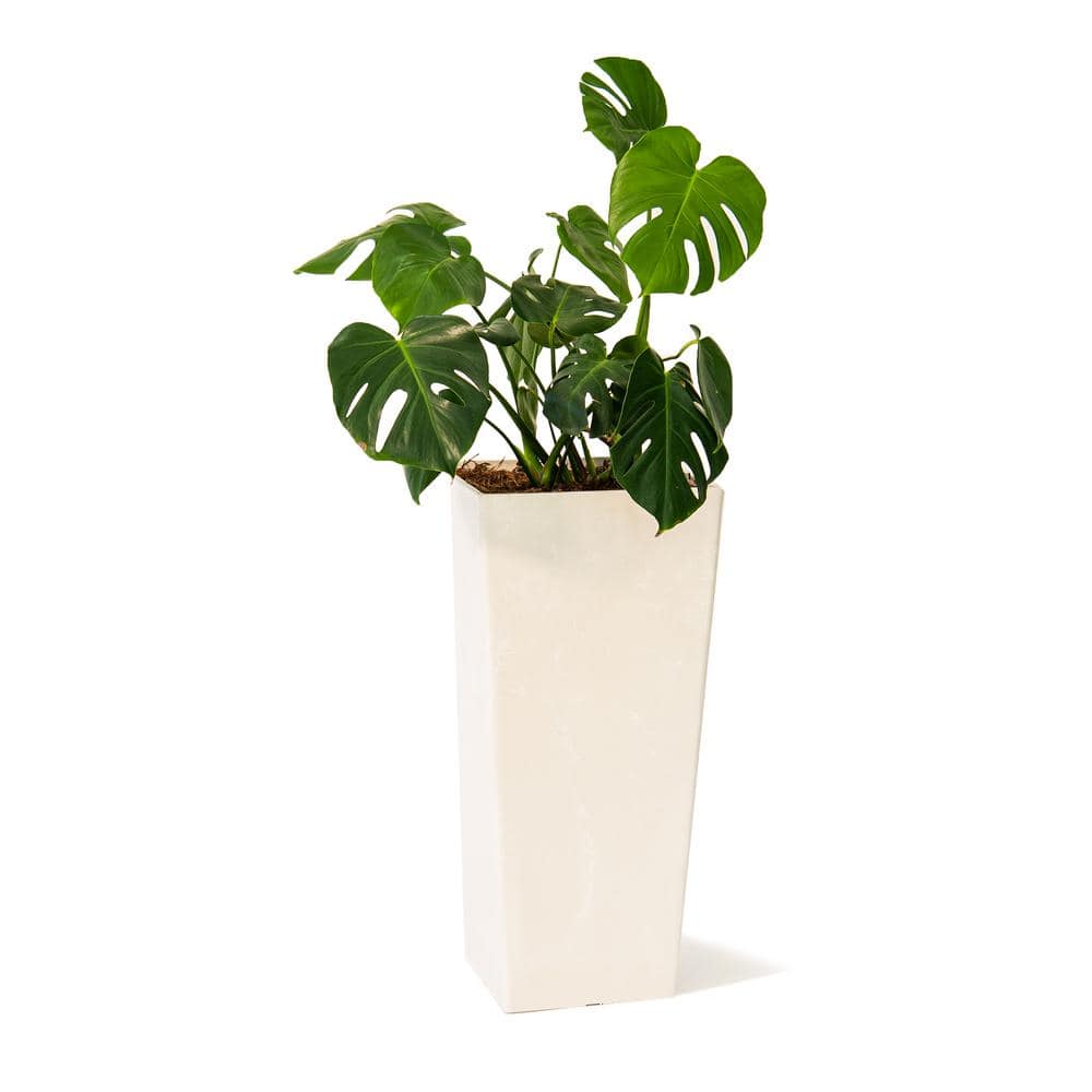 Xbrand In Tall Modern Square Plastic Planter Tapered Floor Planter