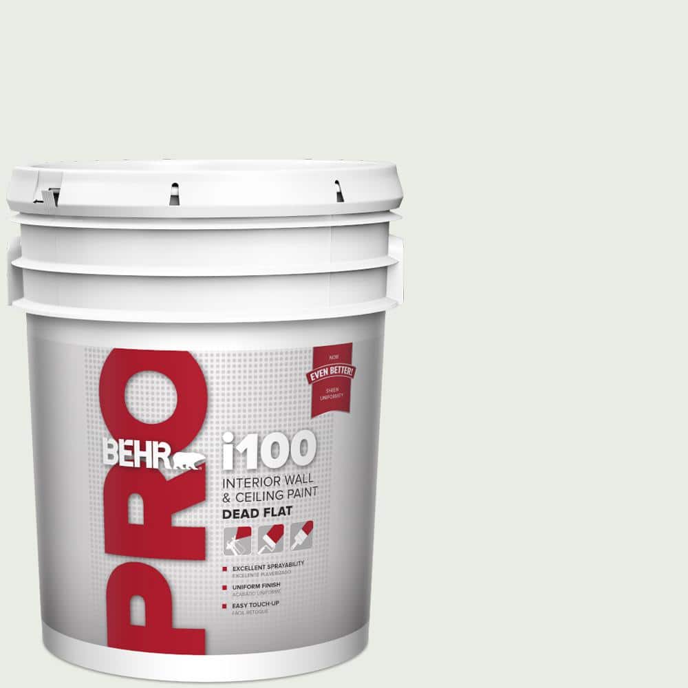 5 gal. #BWC-19 Queen Annes Lace Dead Flat Interior Paint price history on PriceWatchPro