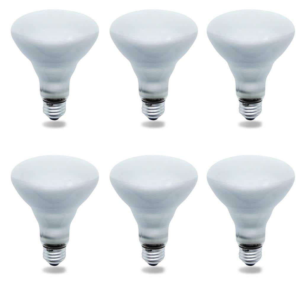 65-Watt BR30 E26 Replacement for GE GENERAL ELECTRIC G.E 65R30/FL/MI- Incandescent Light Bulb 6-Pack price history on PriceWatchPro