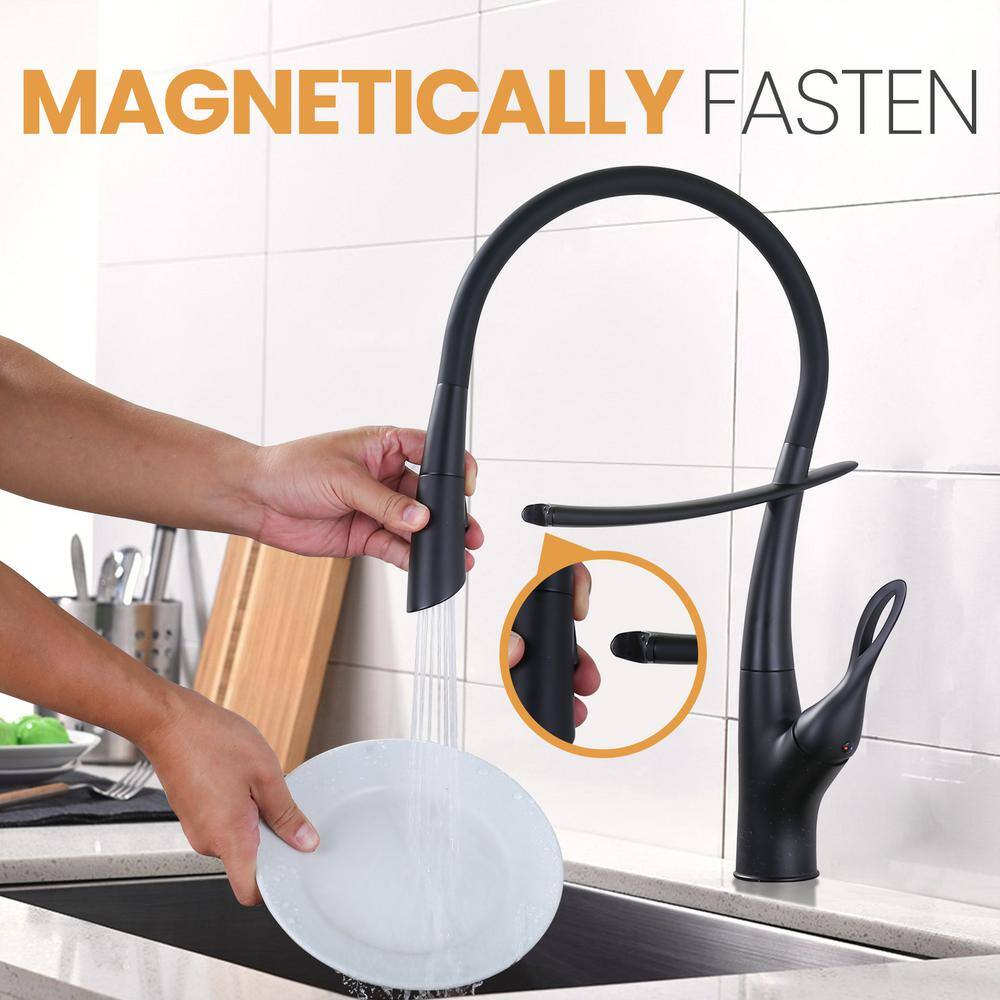 Matte Black Single-Handle Pull-Out Kitchen Faucet with Deckplate