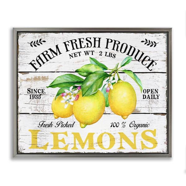 Stupell Industries Farm Fresh Produce Lemons by Creatif Belle Gray Floater Frame Food Graphic Art Print 17 in. x 21 in.