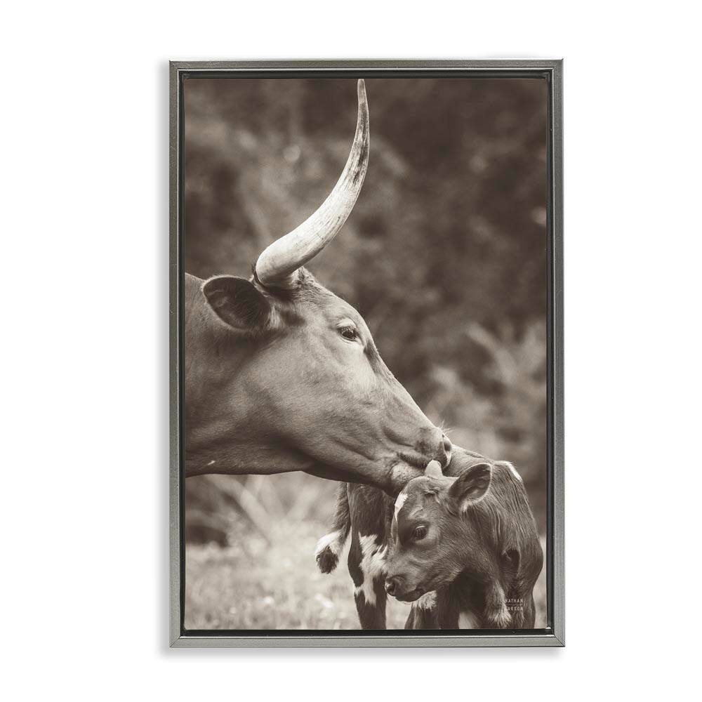 Longhorn Kissing Baby by Nathan Larson Gray Floater Frame Animal Graphic Art Print 31 in. x 21 in. price history on PriceWatchPro