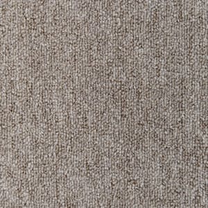 TrafficMaster 8 in. x 8 in. Pattern Loop Carpet Sample - Lanwick