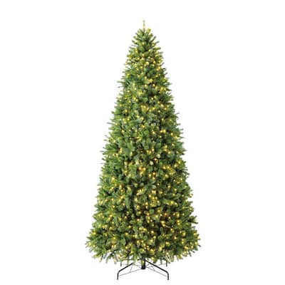 12 ft Wesley Long Needle Pine LED Pre-Lit Artificial Christmas Tree with 1100 SureBright Warm White Mini Lights