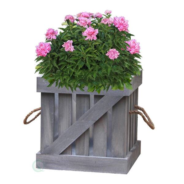 Gardenised 9.5 in. W x 9.5 in. D x 9.5 in. H Distressed Wood Crate Planter