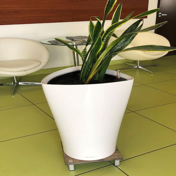 Foreman 12 in. Heavy-Duty Square Plant Stand in Amaretto PPS-12-2