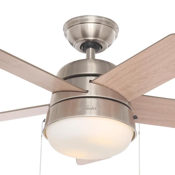 Tarrant 36 inch LED Indoor Brushed Nickel Ceiling Fan Brushed Nickel Finish 
