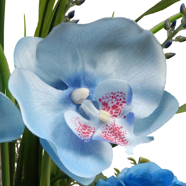 Fresh Tinted Blue orchid plant in Ozone Park, NY - Heavenly Florist