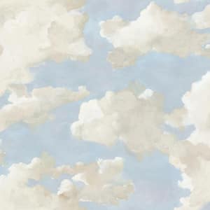 34 sq. ft. Clouds On Canvas Premium Peel and Stick Wallpaper