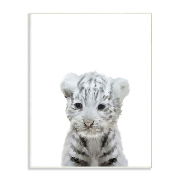 Stupell Industries 10 in. x 15 in. "Cute Baby White Tiger" by Leah Straatsma Wood Wall Art