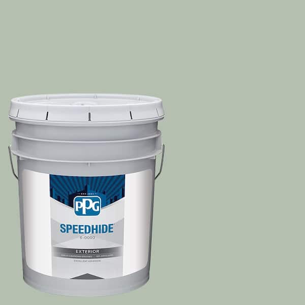 5 gal. PPG1129-4 Coastal Crush Flat Exterior Paint