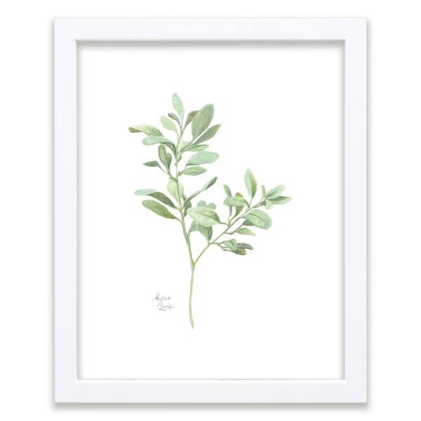 Unbranded Nature's Lace 1 "Lamb's Ear" by Alyssa Lewis Individual White Framed Nature Art Print 20 in. x 16 in.