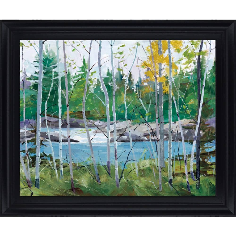 Extounge Rapids By G. Forsythe Framed Print Nature Wall Art 28 in. x 34 in. price history on PriceWatchPro