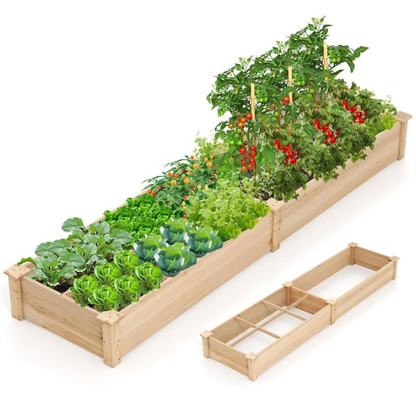 Fir Wood Raised Garden Bed Elevated Planting Bed with 2 Planter Boxes & Dividers