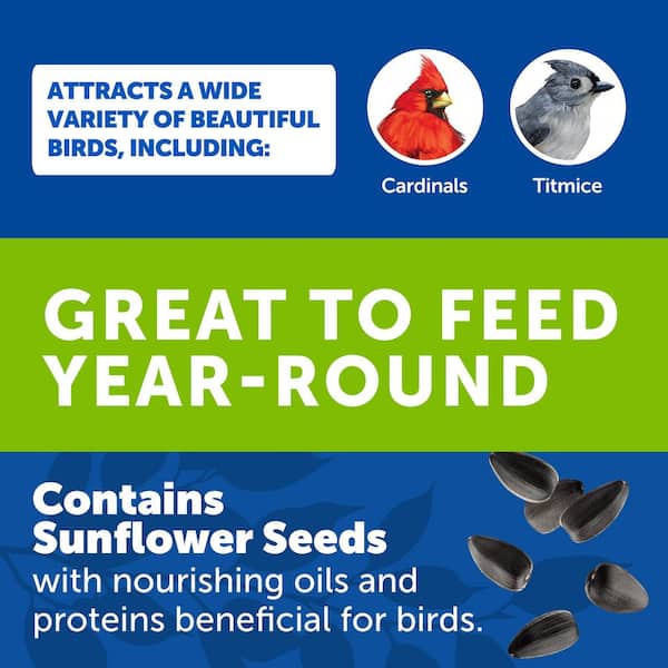 10 lbs. Wild Bird Seed Food