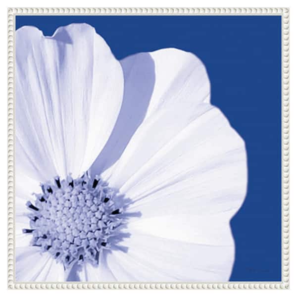 Amanti Art Flower Pop blue III by Marie Elaine Cusson 22 in. W x 22 in. H Canvas Float Frame in White