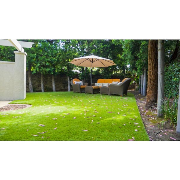 Everlast Sport/Pet-All Green 15-ft W x Cut-to-Length Fescue Artificial Grass