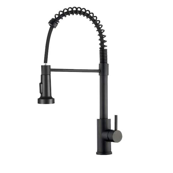 19.3 in. H Pull Down Sprayer Kitchen Faucet with 2 Sprayer Pattern 360° Spout Swivel in Matte Black