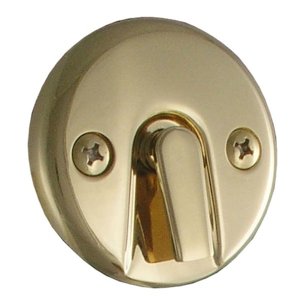 LDR Industries Double-Hole Overflow Plate in Polished Brass