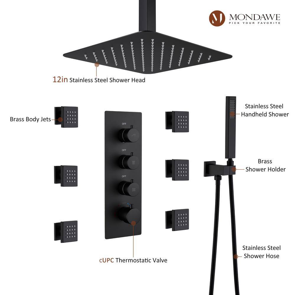 Matte Black Ceiling Mounted Shower System with Handheld and Body Jets