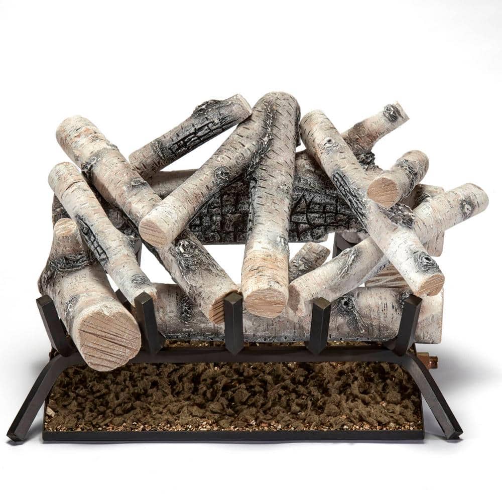 BLUEGRASS LIVING 24 in. Birch Wood Vented Natural Gas Fireplace Log Set