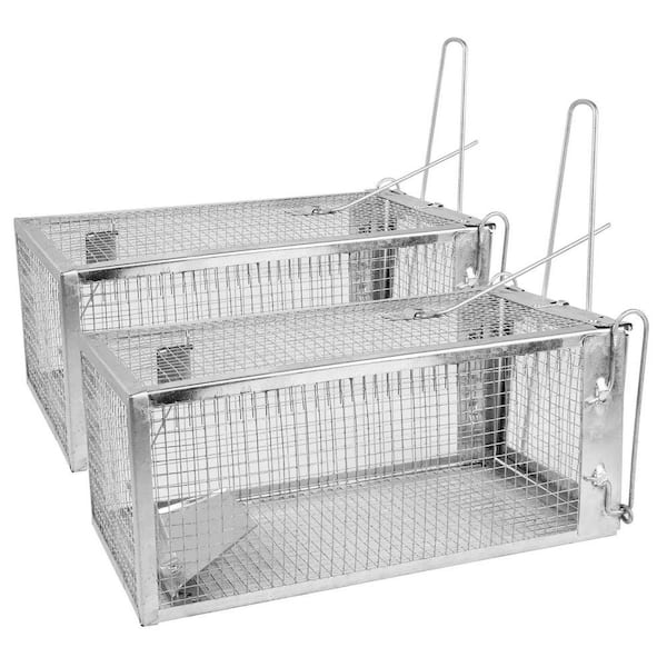 Humane Rat Trap Cage 2-Pack-Auto-Lock Live Mouse Trap, Rust-Proof Galvanized Steel for Indoor/Outdoor Use